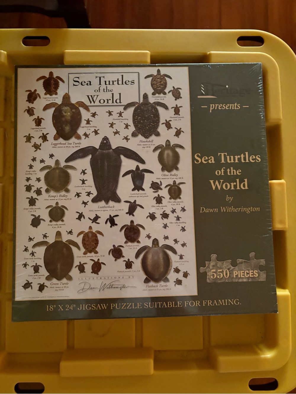 Heritage Sea Turtles Wall Art Print - Green and Brown